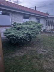 Photo 24. House, Vagtelvej, Næstved 