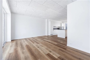 Photo 7. House, Lodsholmvej, Klarup 