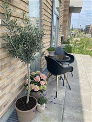 Photo 3. Apartment, Stigsborg Parkvej, Nørresundby 