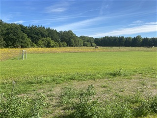 Billede 17. Hus/villa, Danehøje, Viborg 