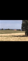 Billede 7. Lejlighed, Oddenvej, Sjællands Odde 