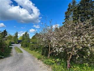 Photo 23. House, Vilhelmsro, Fredensborg 