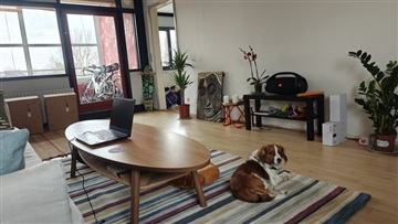 Photo 15. Room, Ulsøparken, Brøndby Strand 