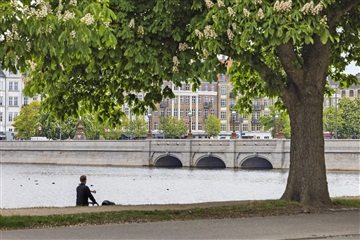 Billede 14. Lejlighed, Nørre Søgade, København K 