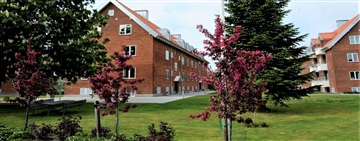 Photo 7. Apartment, Jægervænget, Vejle 