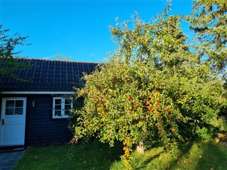 Billede 21. Hus/villa, Lundeager, Dragør 