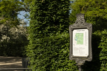 Billede 17. Lejlighed, Sankt Pauls Gade, København K 