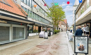 Billede 21. Lejlighed, Ringstedgade, Næstved 