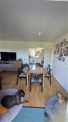 Photo 7. Apartment, Middelfartvej, Blommenslyst 