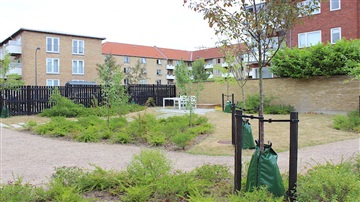 Photo 13. Apartment, Løvspringsvej, Charlottenlund 
