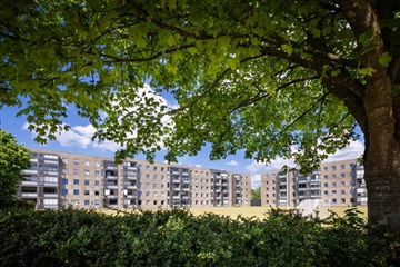 Billede 7. Lejlighed, Skovgårdsvej, Holstebro 
