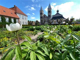Billede 17. Lejlighed, St. Sct. Mikkels Gade, Viborg 