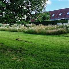 Photo 3. Room, Sælhundevej, Esbjerg N 
