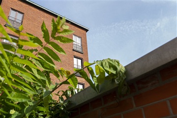 Billede 12. Lejlighed, Holsedore, Odense C 