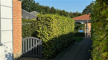 Billede 16. Hus/villa, Hohøje, Hobro 