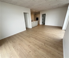 Billede 1. Hus/villa, Asmild Mark, Viborg 