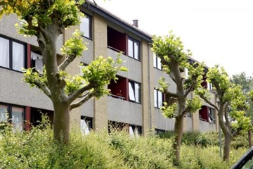 Billede 2. Lejlighed, Mellemleddet, Kerteminde 