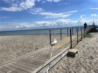 Billede 10. Lejlighed, Lille Strandvej, Hellerup 