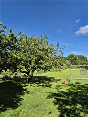 Photo 17. Shared accommodation, Huginsvej, Skive 
