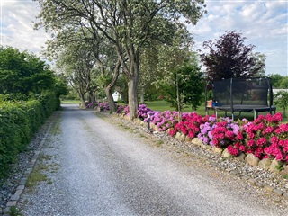 Billede 33. Hus/villa, Stavnsholtvej, Farum 