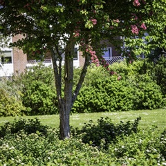 Photo 4. Apartment, Hunsballevej, Holstebro 