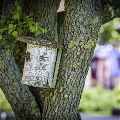 Billede 6. Lejlighed, Hunsballevej, Holstebro 
