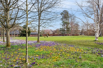 Photo 12. Apartment, Ordrupvej, Charlottenlund 
