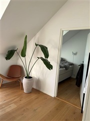 Photo 1. Apartment, Stenpassagen, Aarhus C 