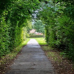 Billede 21. Lejlighed, Munkgårdkvarteret, Herning 