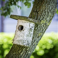 Photo 7. Apartment, Hunsballevej, Holstebro 