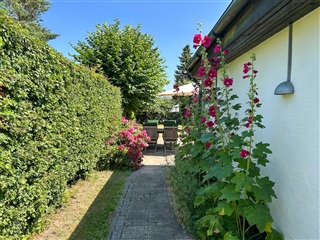 Photo 32. House, Søtorpvej, Rødovre 