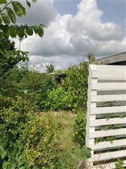 Photo 2. House, Valkendrupsgyden, Odense N 