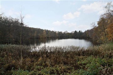 Billede 13. Lejlighed, Søllerød Park, Holte 