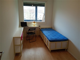 Billede 1. Værelse, Humlemarken, Espergærde 