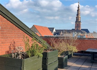 Billede 10. Lejlighed, Prinsessegade, København K 