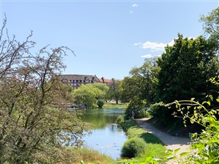 Billede 14. Lejlighed, Torvegade, København K 