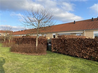 Photo 8. House, Skovbominde, Greve 