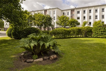 Photo 3. Apartment, Arendalsvej, Silkeborg 