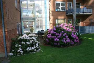 Photo 9. Apartment, Kampmannsgade, Herning 