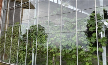 Photo 2. Apartment, Rapsmarken, Odense S 