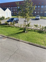 Billede 16. Lejlighed, Digmannsvej, Nørresundby 