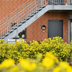 Photo 15. Apartment, Rønnebærvænget, Galten 