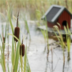 Photo 10. Apartment, Rønnebærvænget, Galten 