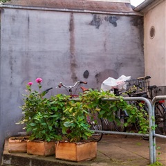 Photo 12. Apartment, Grejs Bakke, Vejle 