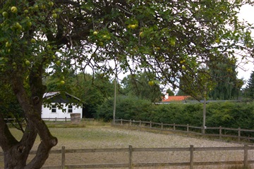 Photo 28. House, Rødpælevej, Allerød 