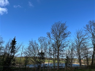 Billede 11. Lejlighed, Lillesøvænget, Frederiksværk 