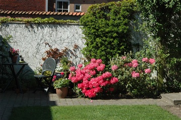 Photo 12. Apartment, Lundgade, Varde 