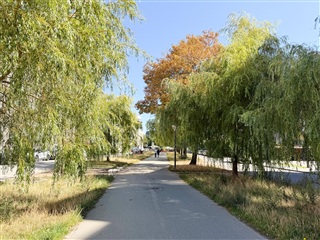 Billede 27. Lejlighed, Strandlodsvej, København S 