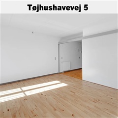 Billede 60. Lejlighed, Tøjhushavevej, Randers C 