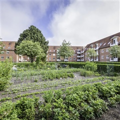 Photo 22. Apartment, Ringparken, Holstebro 